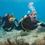 grand cayman diving